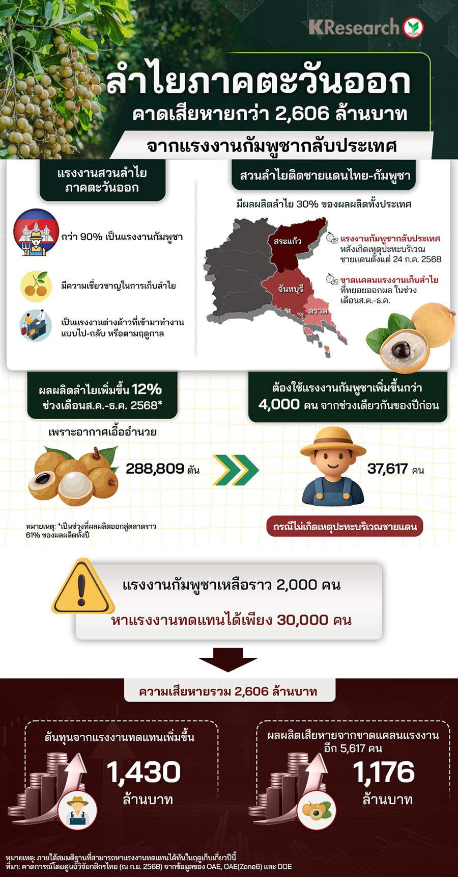 ลำไยภาคตะวันออกคาดเสียหายกว่า 2,606 ล้านบาท จากแรงงานกัมพูชากลับประเทศ