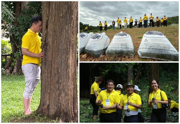 9488 TIP อาบป่า