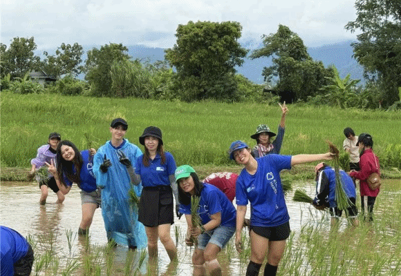 10033 KTAXA BaanNana 2