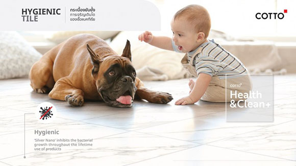 10162 COTTO Hygienic Tile