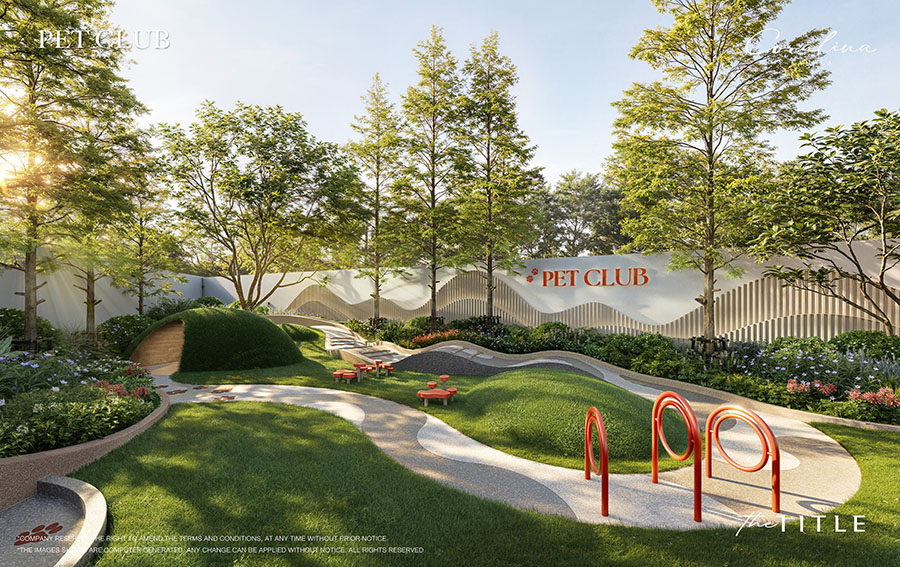 10434 TITLE Coralina 7