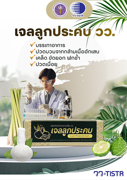 11142 วว เจลลูกประคบ