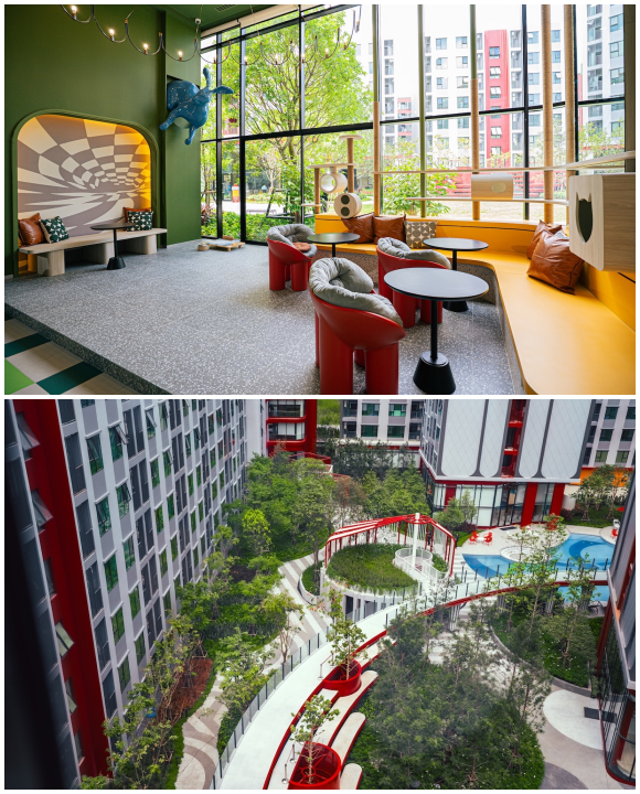 11284 ASW Kave Wonderland 3