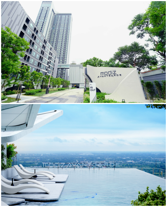 11284 ASW Modiz Avantgarde