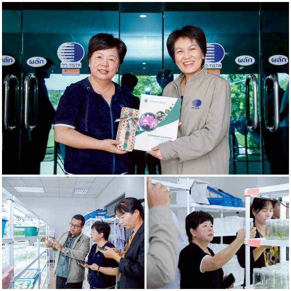 11599 วว 3 เทคโนธานี