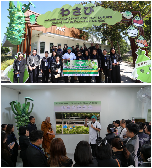 12042 วาซาบิ