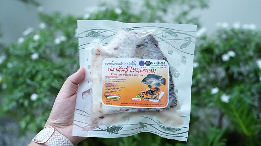 12155 SCG 1 ปลาส้มผู้ใหญ่ลั่นทม