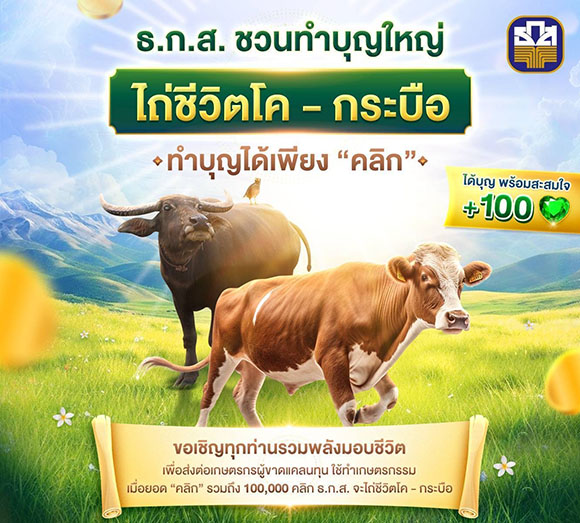 12189 BAAC ไถ่ชีวิตโค กระบือ