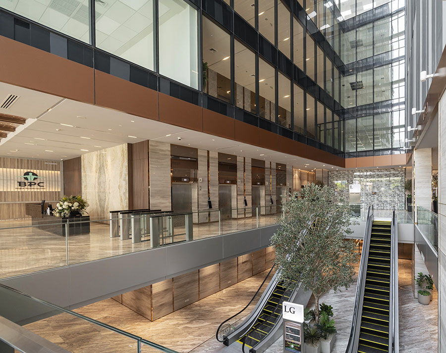 12313 SUPALAI Icon 2