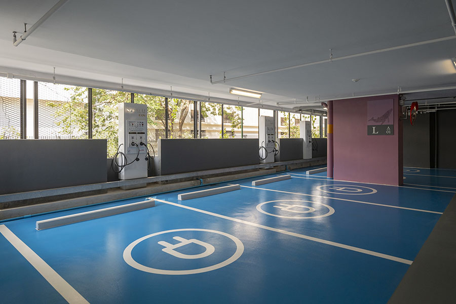 12313 SUPALAI Icon 6