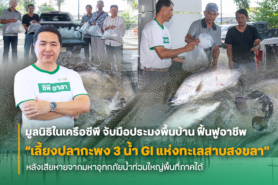 มูลนิธิเจริญโภคภัณฑ์พัฒนาชีวิตชนบท ผนึกเครือข่ายประมงพื้นบ้าน เดินหน้าฟื้นปลากะพง 3 น้ำ GI สินค้าเศรษฐกิจสำคัญของพื้นที่ หวังสร้างอาชีพและเศรษฐกิจชุมชนรอบทะเลสาบสงขลา หลังมหาอุทกภัยภาคใต้
