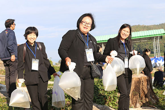 12469 TIP 4 ปล่อยปลา