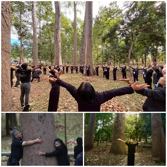 12469 TIP 5 อาบป่า