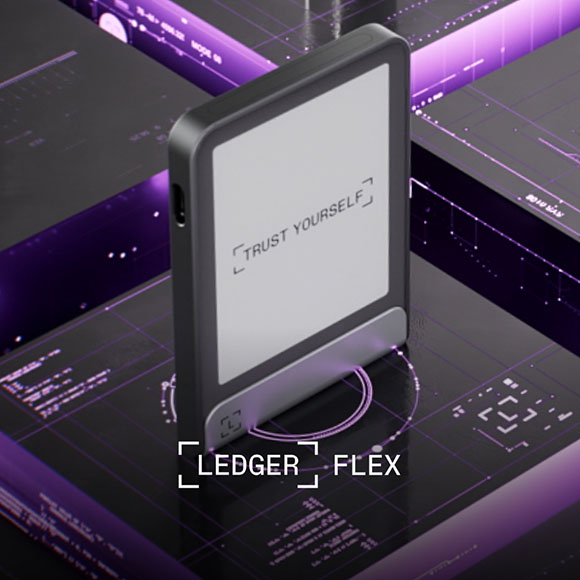 12482 3 Ledger Flex