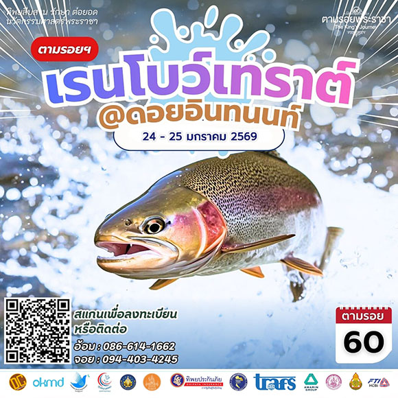 1008 TIP ตามรอย60