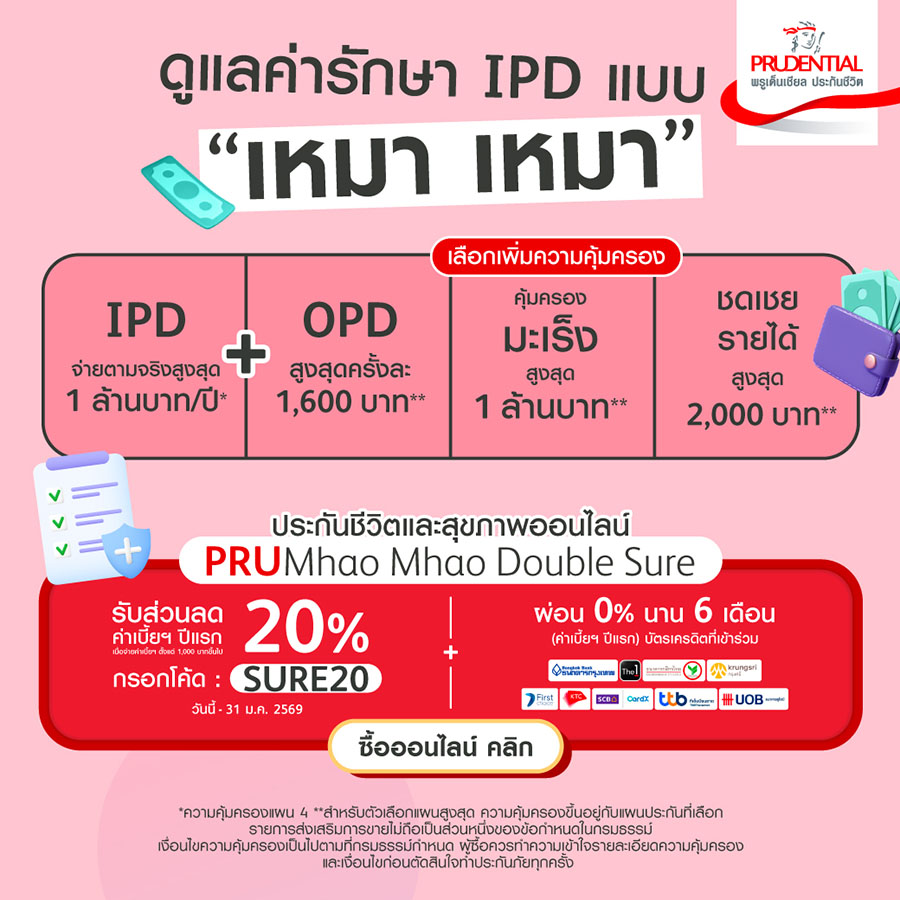 1243 PLT เหมาเหมา