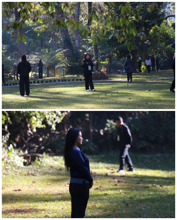 1352 TIP กิจกรรมอาบป่า