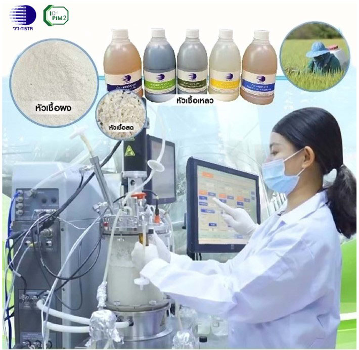 2294 วว 2 ICPIM2