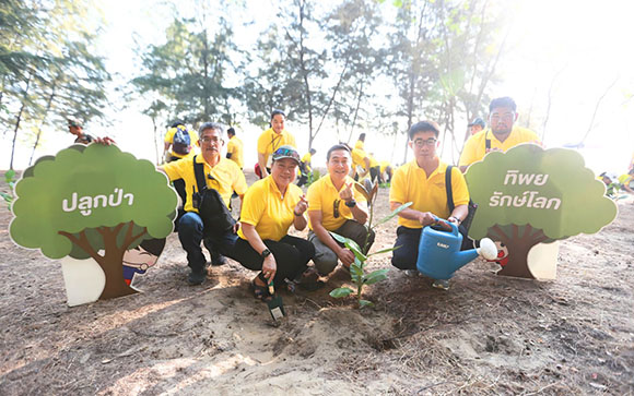 2465 TIP ปลูกป่า