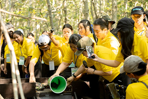 2465 TIP ปล่อยปูดำ