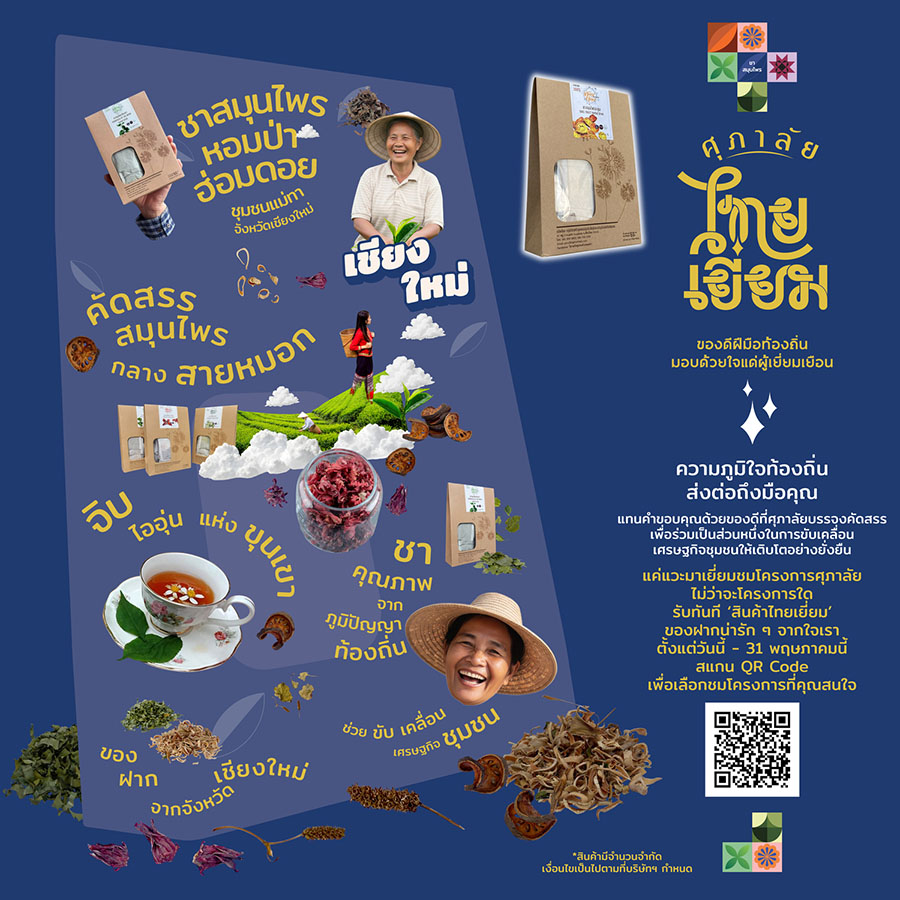 3011 Supalai 5 เชียงใหม่