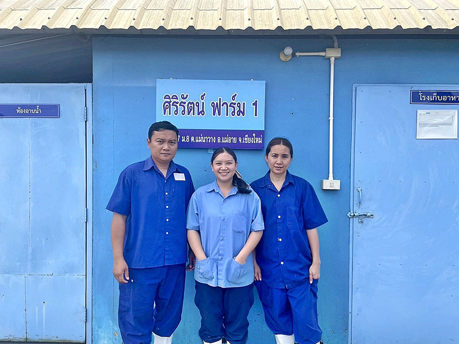 ทิ้งชีวิตต่างแดน กลับเชียงใหม่เลี้ยงหมู ทางเลือกที่มั่นคงของ &lsquo;ศิริรัตน์ ยั่งยืน&rsquo;