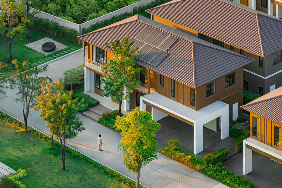 4044 SA SIAMESE HOLM พหล วิภา 1