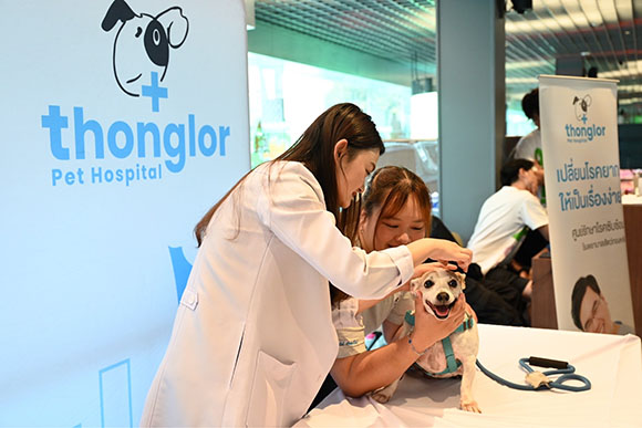 4167 AIS SIAM PMCU 4