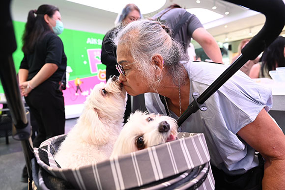 4167 AIS SIAM PMCU 7