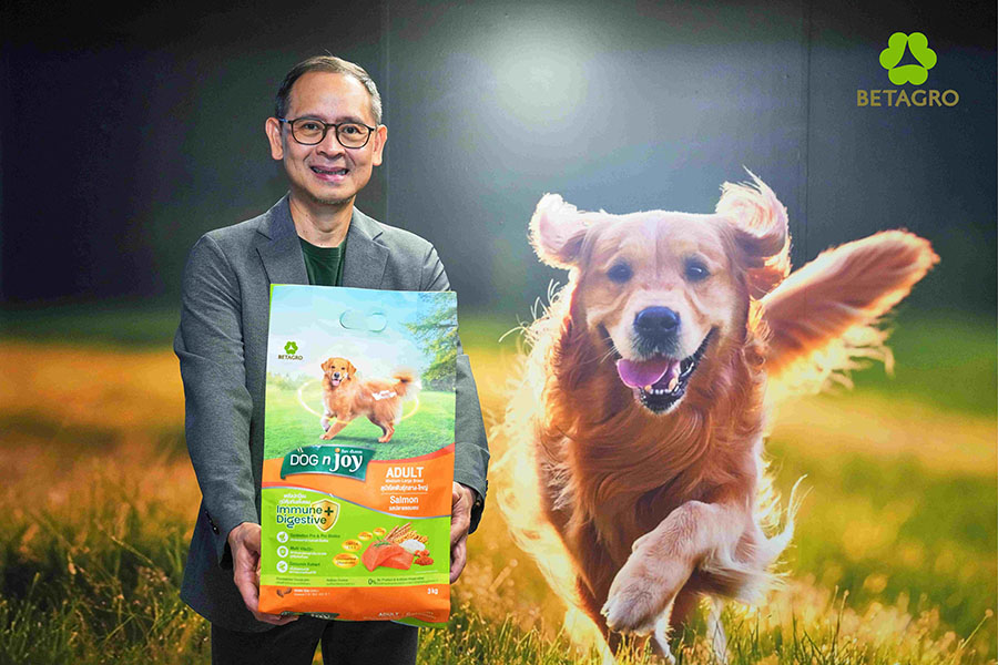 4433 BTG Dog n joy