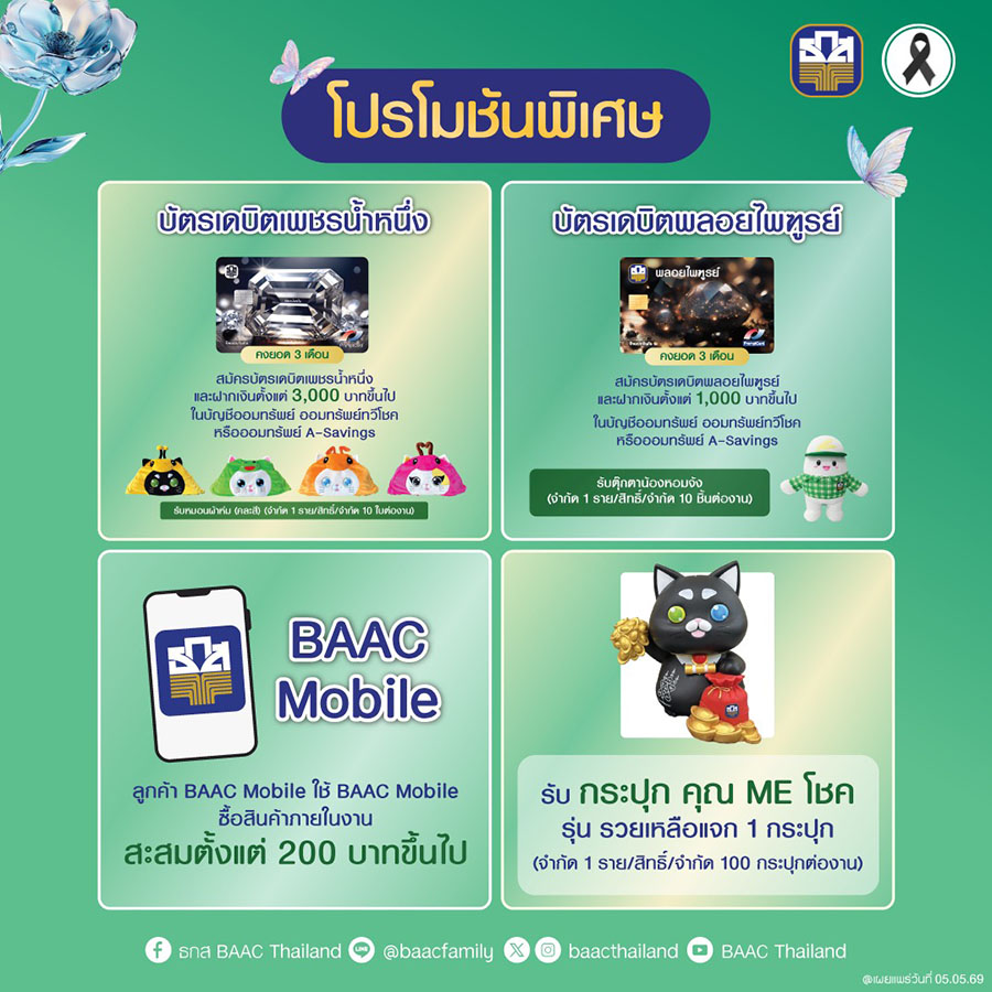 5047 BAAC13 3
