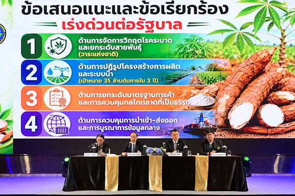 8152 ส มันสำปะหลังไทย 3