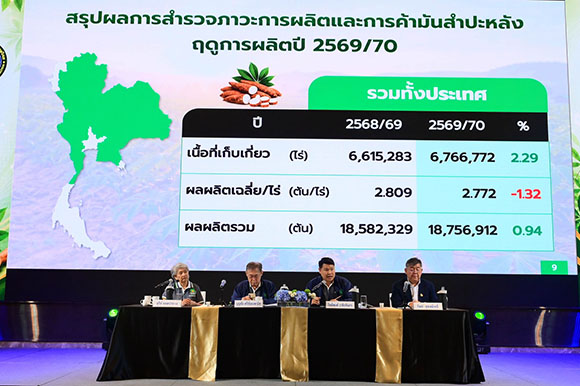 8152 ส มันสำปะหลังไทย 4