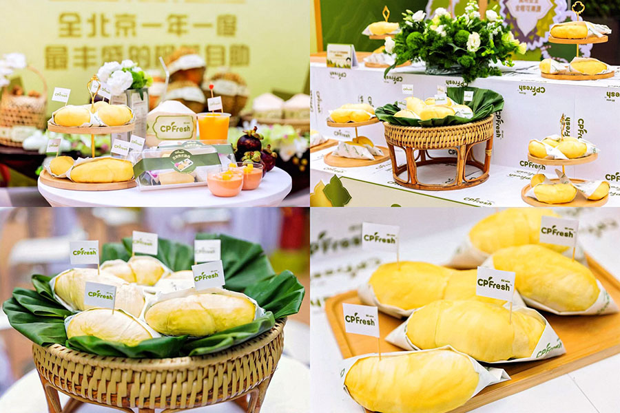 8173 CPFresh 5