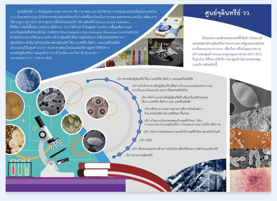 8204 วว 2 ศูนย์จุลินทรีย์