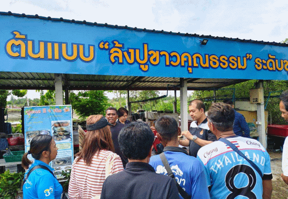 8520 PMUA ปูขาว 2