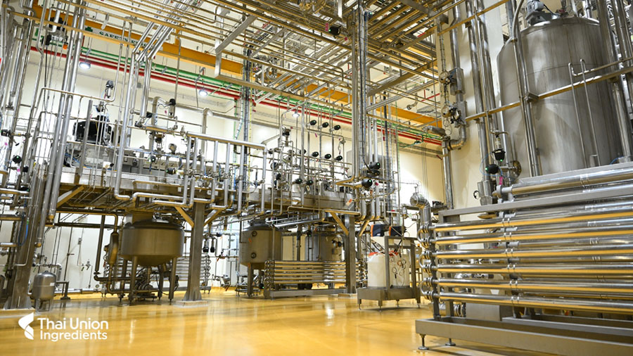 9024 TU Collagen Factory