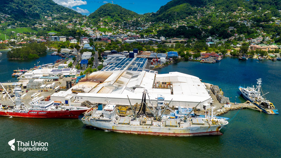 9024 TU Tuna Factory