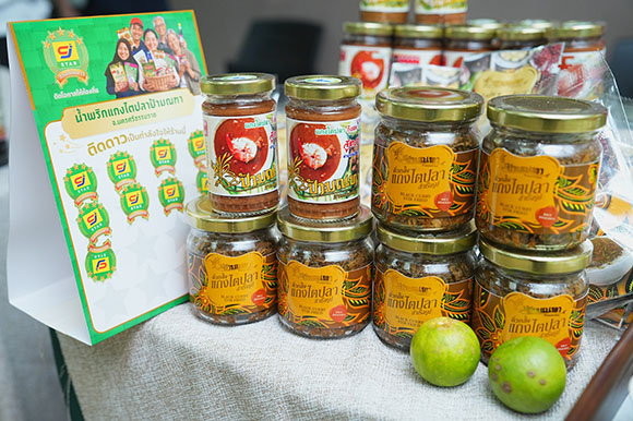 9253 CJ Star 6