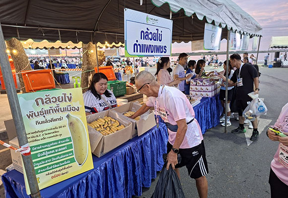 10033 PMUA 3 กล้วยไข่กำแพงเพชร