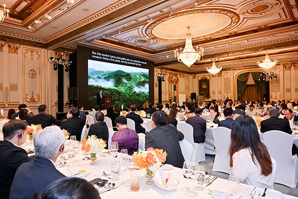 10313 KFoundation IMF 3