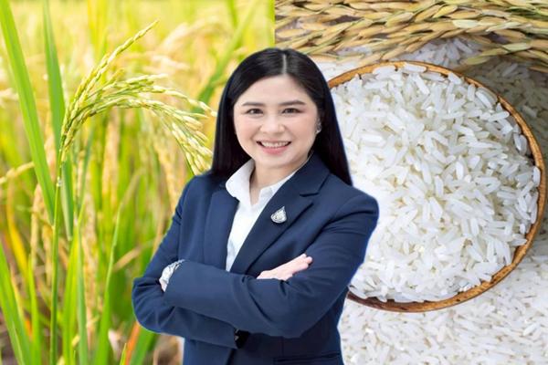 พาณิชย์ จัดคณะผู้แทน กระชับสัมพันธ์ภาครัฐ-ผู้นำเข้าญี่ปุ่น ผลักดันซื้อข้าวไทยเพิ่ม