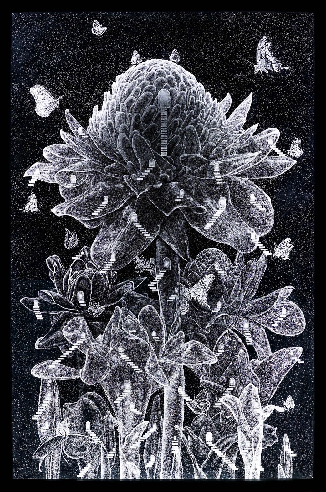 IMG 0668