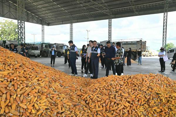 ลงพื้นที่พิษณุโลก